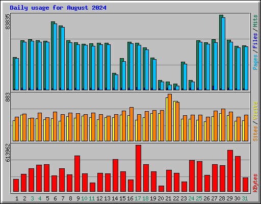 Daily usage for August 2024