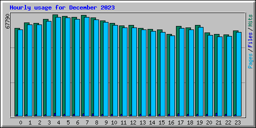 Hourly usage for December 2023