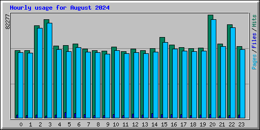 Hourly usage for August 2024