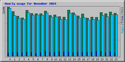 Hourly usage for November 2024