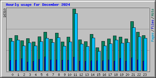 Hourly usage for December 2024