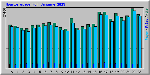 Hourly usage for January 2025