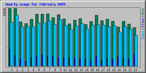 Hourly usage for February 2025