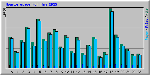 Hourly usage for May 2025