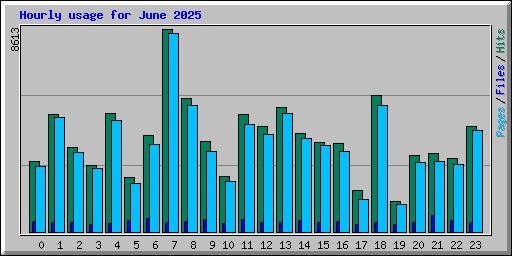 Hourly usage for June 2025