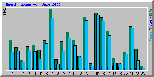 Hourly usage for July 2025