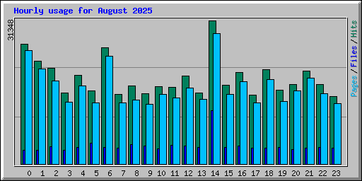 Hourly usage for August 2025