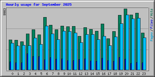 Hourly usage for September 2025