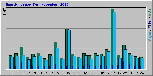 Hourly usage for November 2025