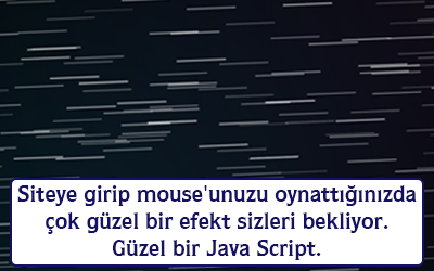 Siteye girip mouse'unuzu oynattığınızda çok güzel bir efekt sizleri bekliyor güzel bir java script