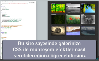 Bu site sayesinde galerinize css ile muhteşem efektler nasıl verebileceğinizi öğrenebilirsiniz